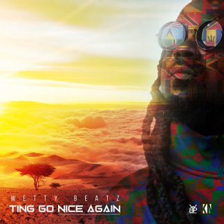 Ting Go Nice Again - Instrumental